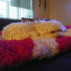 Meet your Posher, Marie